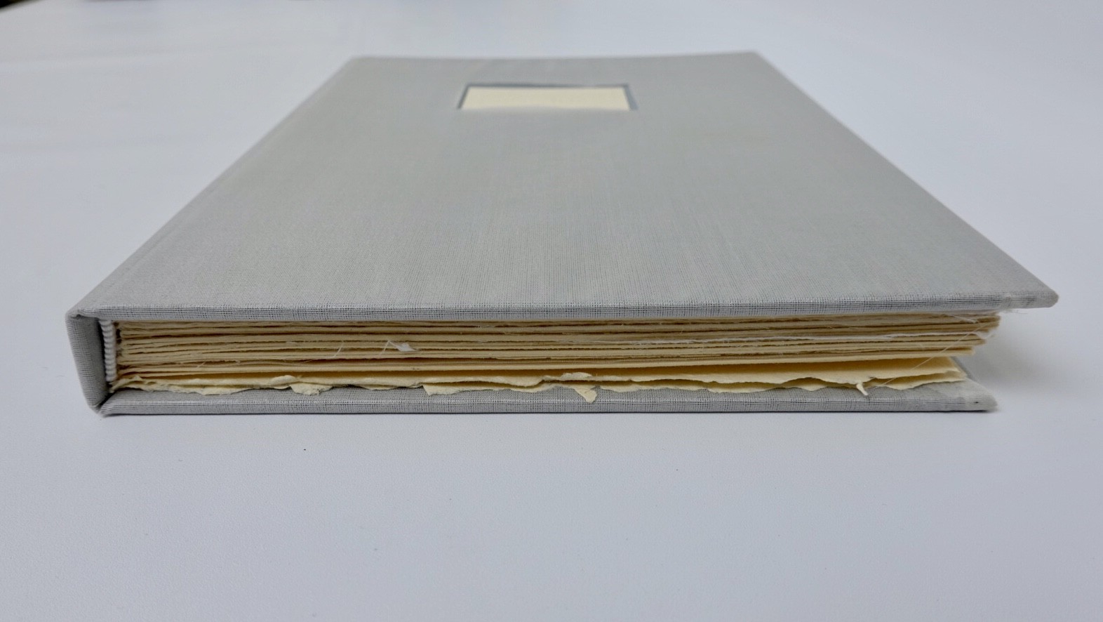 Bottom edge of book showing deckled edges and Juan silk covered book cloth